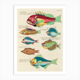 Colourful And Surreal Illustrations Of Fishes Found In Moluccas (Indonesia) And The East Indies, Louis Renard(74) Art Print