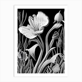 Desert Mariposa Lily Wildflower Linocut 1 Art Print