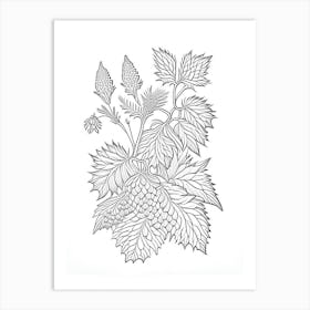 Hops Herb William Morris Inspired Line Drawing 1 Art Print