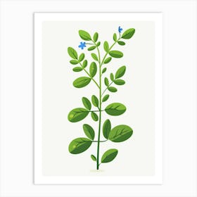 Thyme Plant Art Print