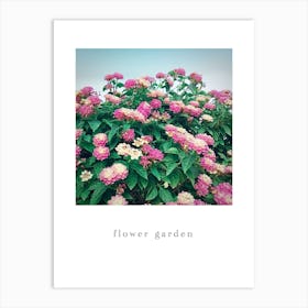 flower garden Art Print