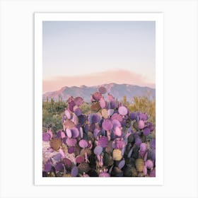 Purple Cactus In Desert Art Print