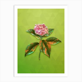 Vintage French Hydrangea Botanical Art on Love Bird Green n.0848 Art Print
