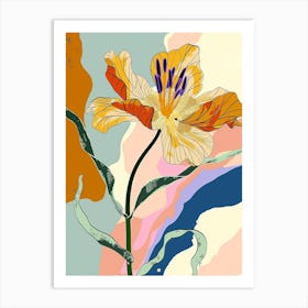 Colourful Flower Illustration Portulaca 2 Art Print