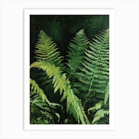 Giant Chain Fern Painting 1 Art Print