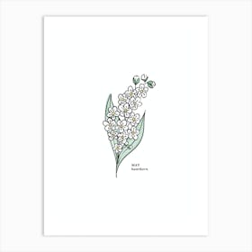 May Hawthorn Birth Flower Art Print