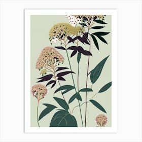 Joe Pye Weed Wildflower Modern Muted Colours 2 Art Print