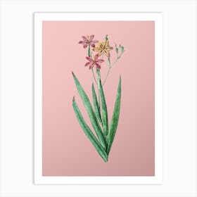 Vintage Blackberry Lily Botanical on Soft Pink n.0149 Art Print