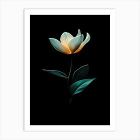 Lotus Flower 20 Art Print