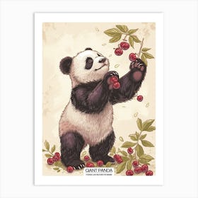 Giant Panda Picking Berries Poster 8 Art Print