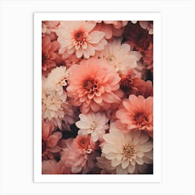 Pink Dahlias 1 Art Print