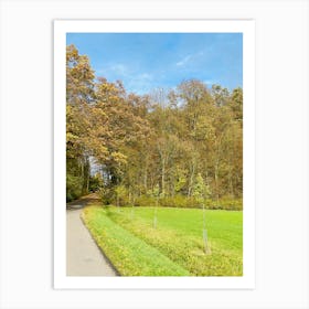 Country Road In Autumn 1 Art Print