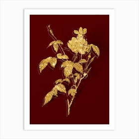 Vintage White Bengal Rose Botanical in Gold on Red n.0113 Art Print