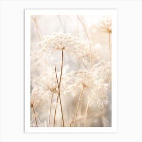 Boho Dried Flowers Queen Annes Lace 5 Art Print