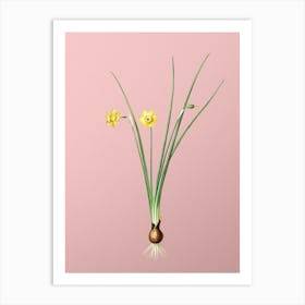 Vintage Daffodil Botanical on Soft Pink n.0239 Art Print