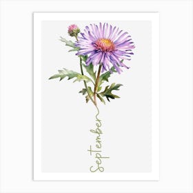 September Birth Flower Birth Month Botanical Art Print