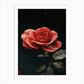 Red Rose 41 Art Print