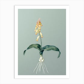 Vintage Watsonia Botanical Art on Mint Green Art Print