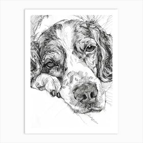 Detailed Sleepy Spaniel Dog Black & White Art Print