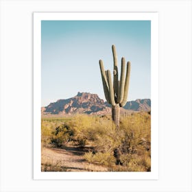 North Phoenix Desert Art Print