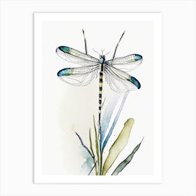 Common Baskettail Dragonfly Minimalist Watercolour 1 Art Print