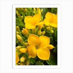 Yellow Flowers Art Print