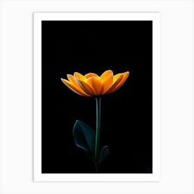 Single Yellow Flower On Black Background 6 Art Print