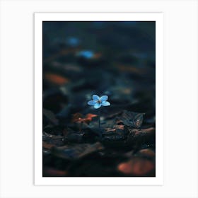 Flower In The Water 10 Art Print