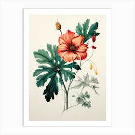 Red Hibiscus Art Print