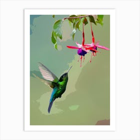 Humming Bird Art Print