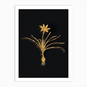 Vintage Rain Lily Botanical in Gold on Black n.0132 Art Print