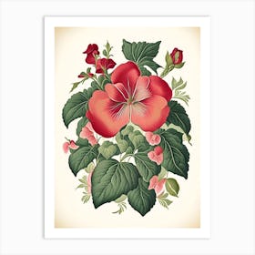 Impatiens 1 Floral Botanical Vintage Poster Flower Art Print