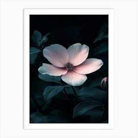 Dark Pink Flower Art Print