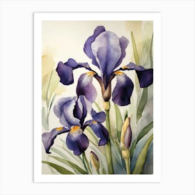 France Flower Iris Watercolor Painting Art Print