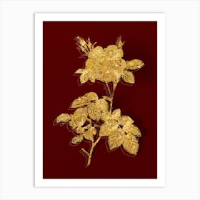 Vintage White Rose Botanical in Gold on Red n.0448 Art Print
