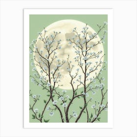 Moonlight Over Blossoms Art Print