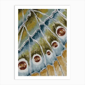 Butterfly Wing Art Print