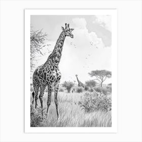 Two Giraffe In The Wild Pencil Drawing Art Print