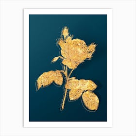 Vintage Pink Cabbage Rose Botanical in Gold on Teal Blue n.0153 Art Print
