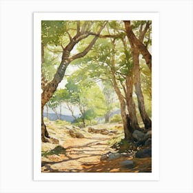 Dubrovnik Arboretum Croatia Watercolour 1  Art Print