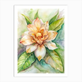 Magnolia Flower Art Print