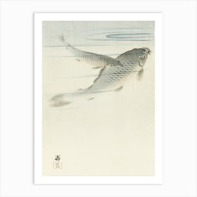 Carp (1900 1936), Ohara Koson Art Print