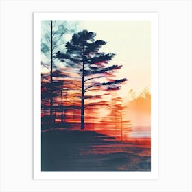 Sunset In The Pines Art Print