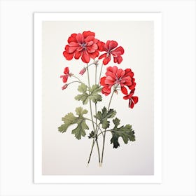 Geraniums Flower Vintage Botanical 3 Art Print