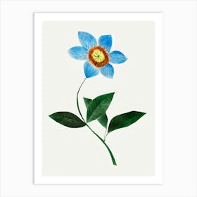 Star Flower Art Print