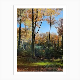 Autumn Forest Art Print