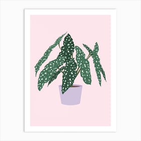 Begonia Houseplant Art Print