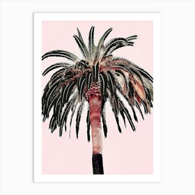 Palm Tree Canvas Print Art Print