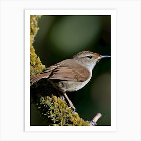 House Wren -Reimagined 1 Art Print