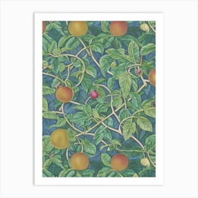 Passionfruit Vintage Botanical Fruit Art Print